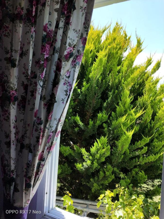 Maviev Otel Çeşme 외부 사진