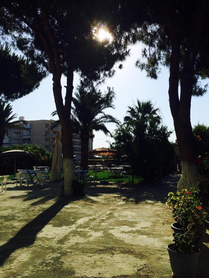 Maviev Otel Çeşme 외부 사진